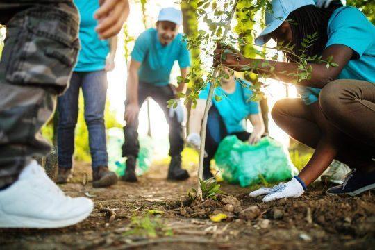 NASCE IN ITALIA IL SERVIZIO CIVILE AMBIENTALE