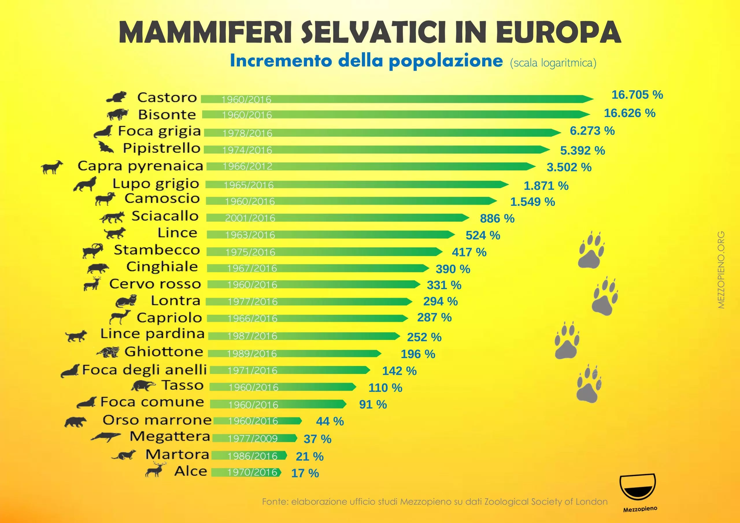 GLI ANIMALI SELVATICI STANNO TORNANDO IN EUROPA