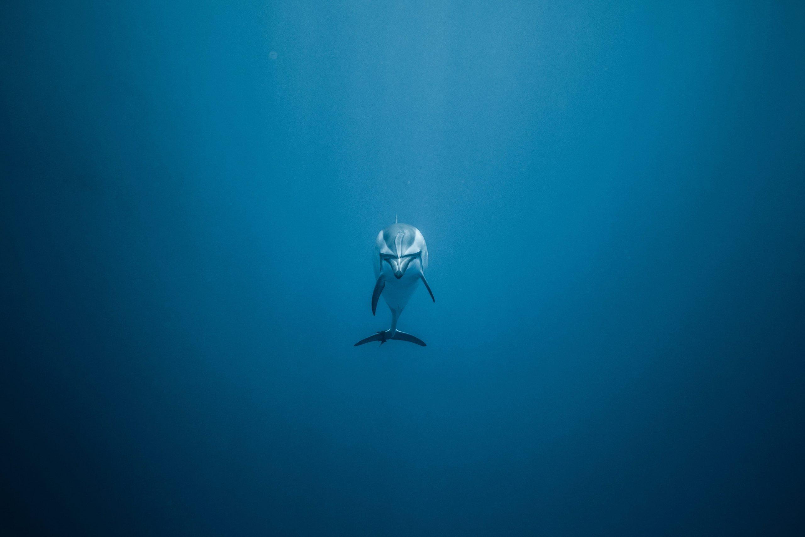 IL MONDO SI ACCORDA PER PROTEGGERE GLI OCEANI