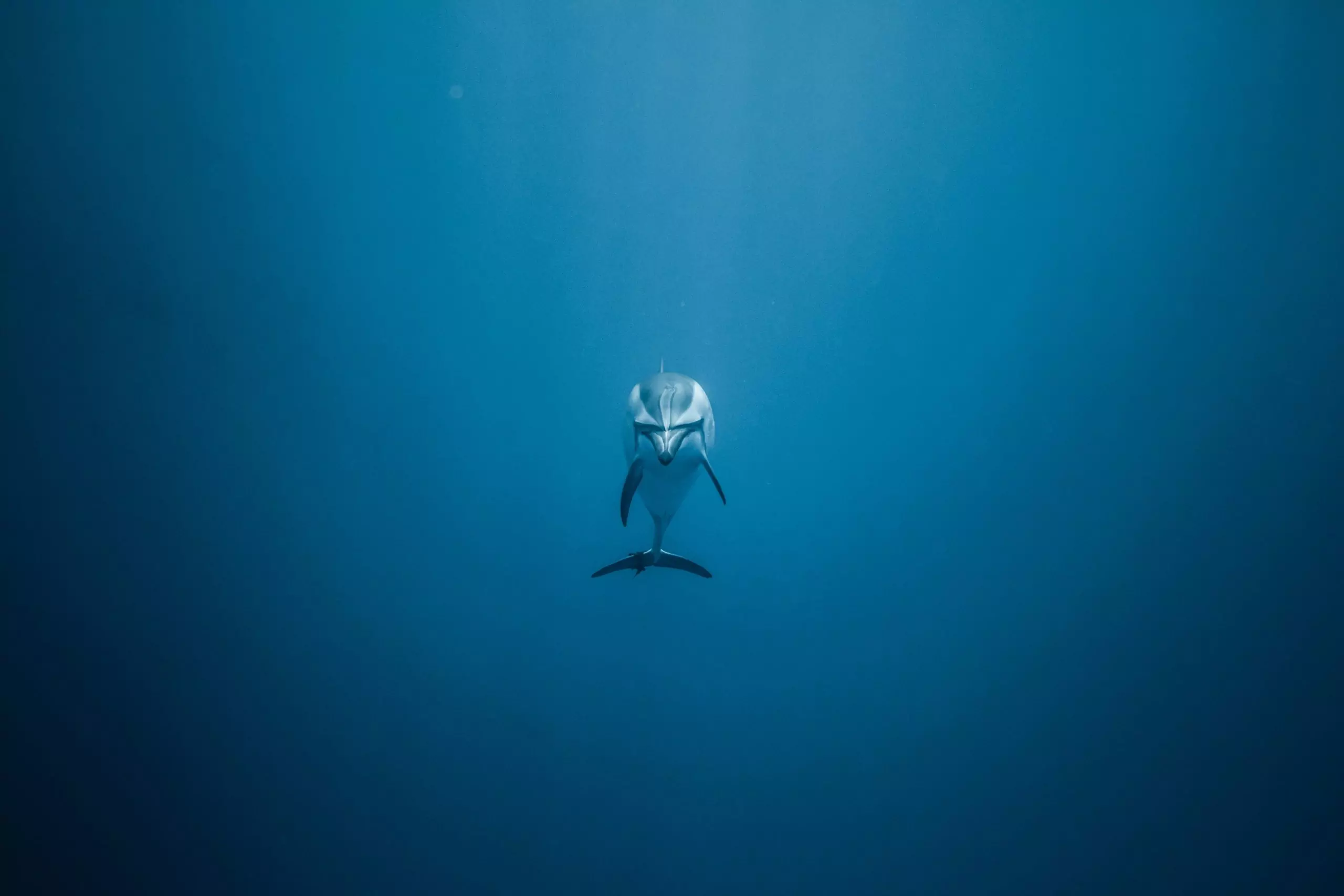 IL MONDO SI ACCORDA PER PROTEGGERE GLI OCEANI