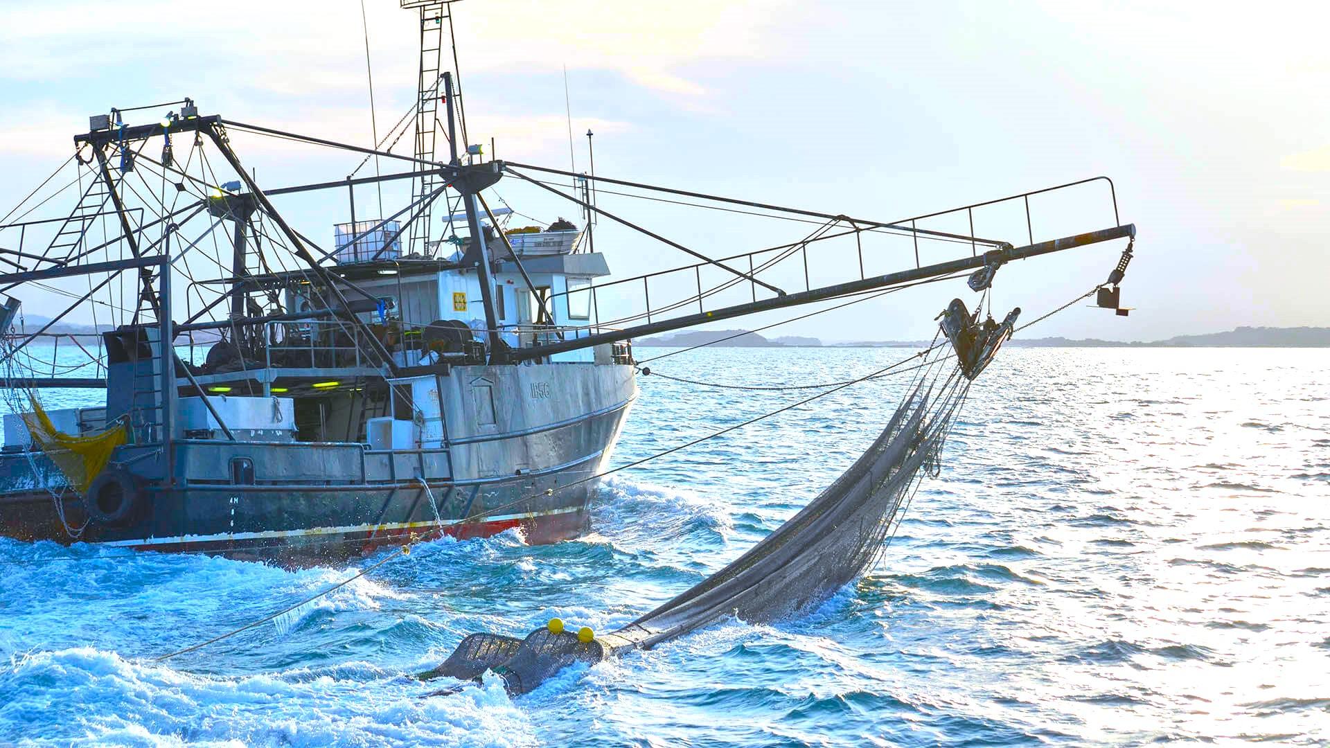 L'EUROPA APPROVA IL PATTO PER LA PESCA SOSTENIBILE