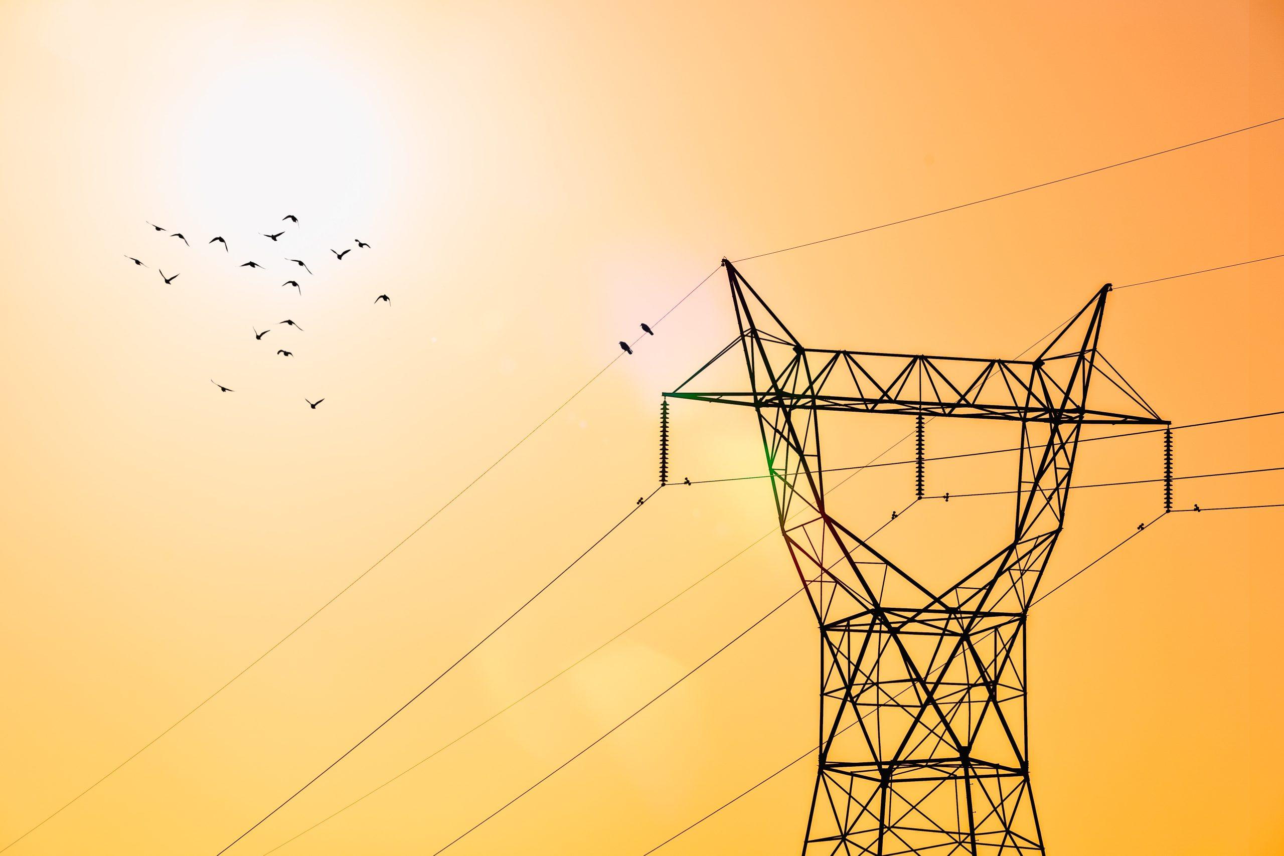 L'ITALIA SUPERA IL 50% DI ENERGIA RINNOVABILE