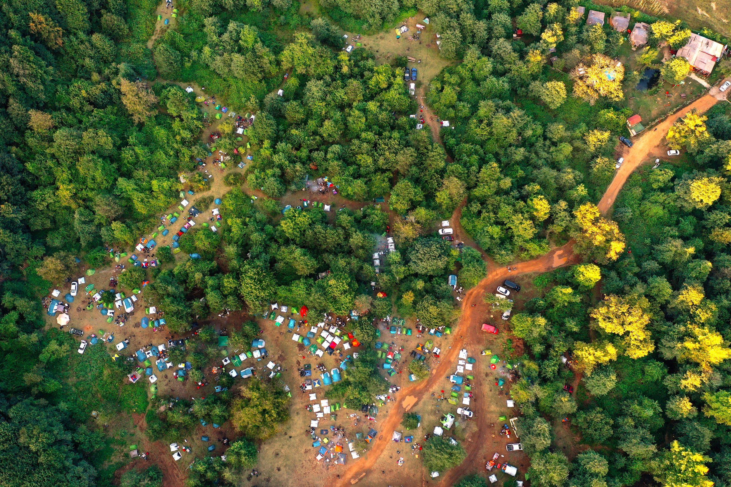 IN COLOMBIA CROLLA LA DEFORESTAZIONE DOPO LA PACE