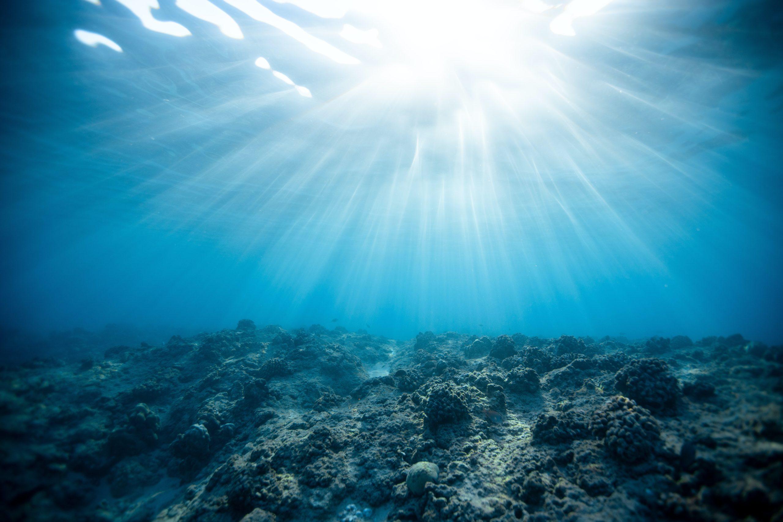SCOPERTO UN NUOVO ECOSISTEMA SOTTO AL FONDO DEL MARE