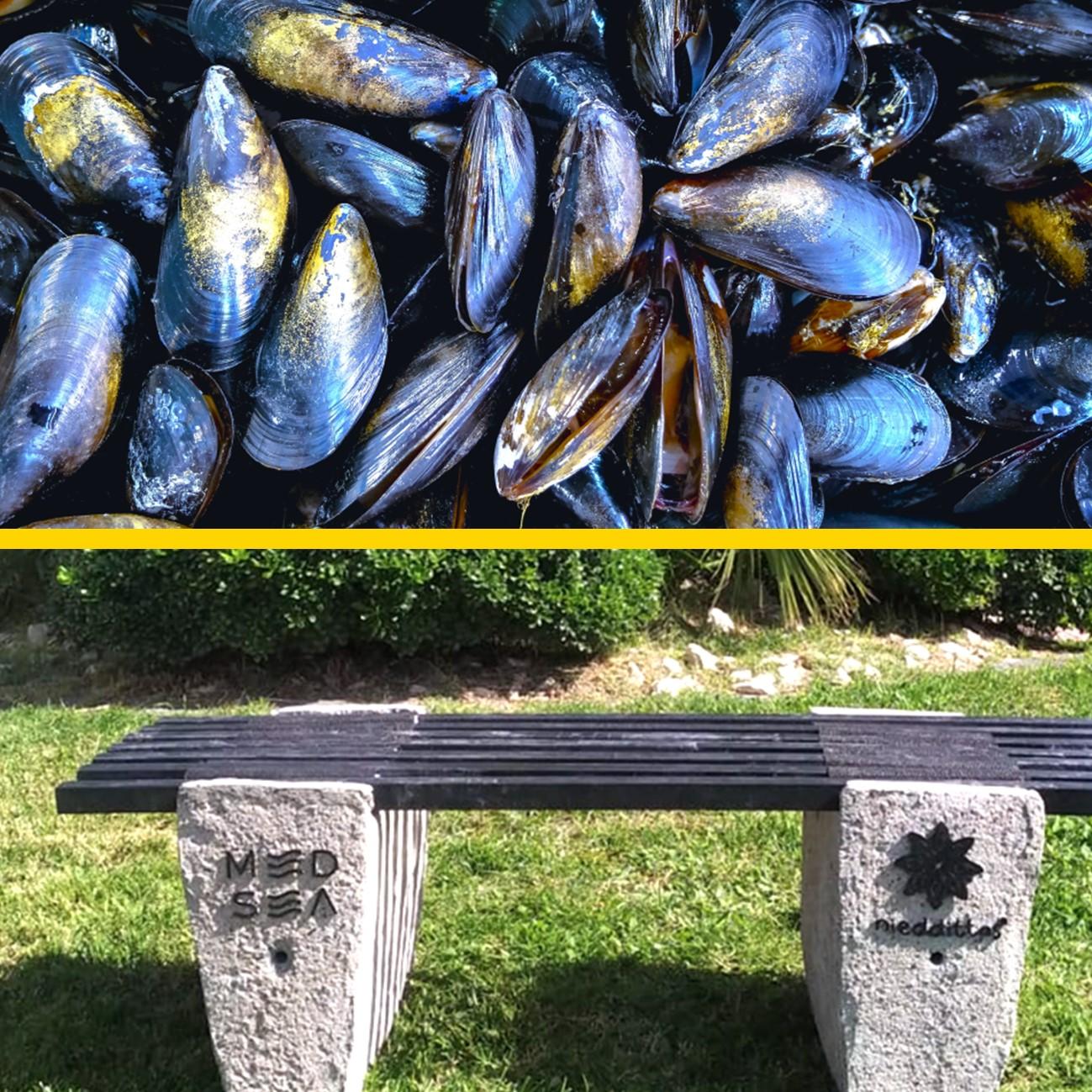 I GUSCI DELLE COZZE DIVENTANO PANCHINE