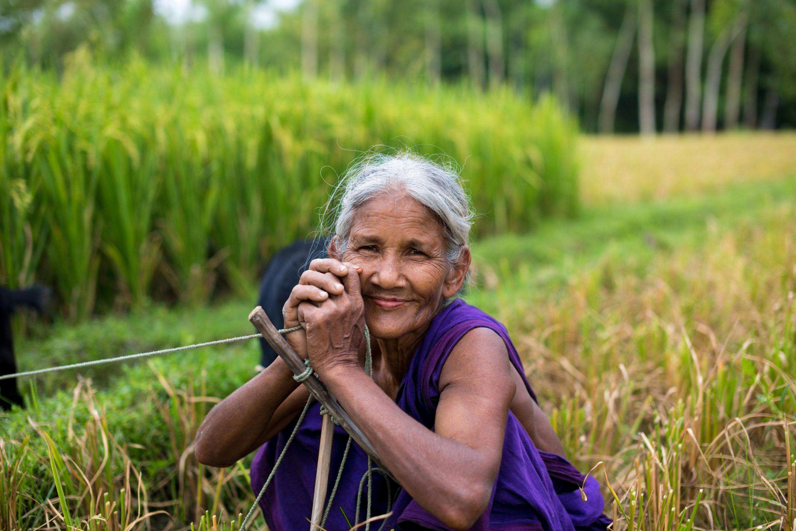 IL BANGLADESH È IL PRIMO PAESE A DEBELLARE LA LEISHMANIOSI