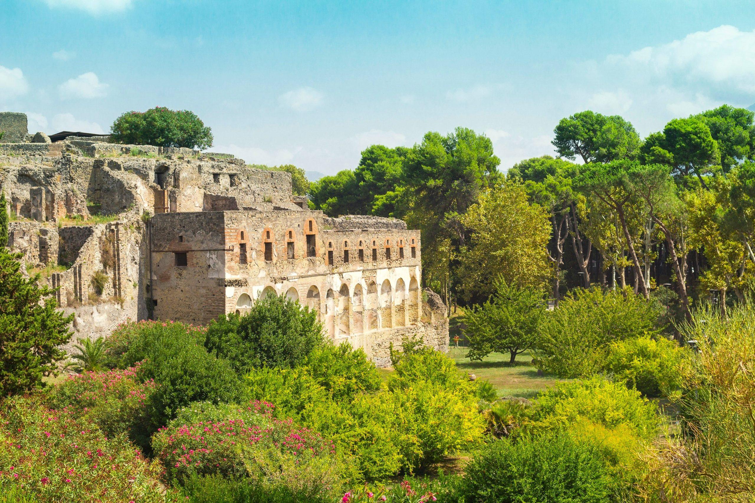 L'ANTICA POMPEI TORNA VERDE CON 7000 NUOVI ALBERI