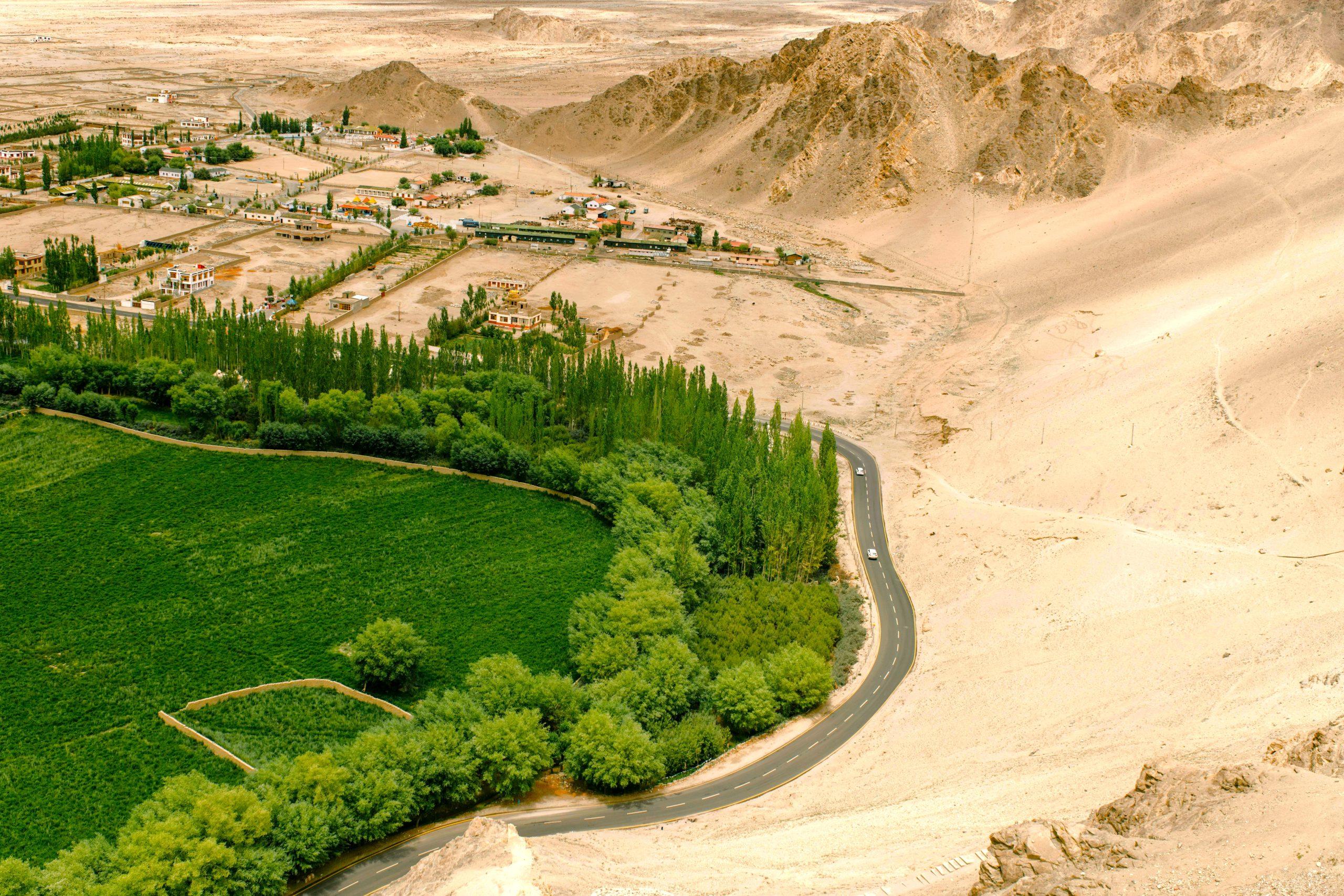 LA CINA RIESCE A BLOCCARE L'ESPANSIONE DEL SECONDO DESERTO DEL MONDO