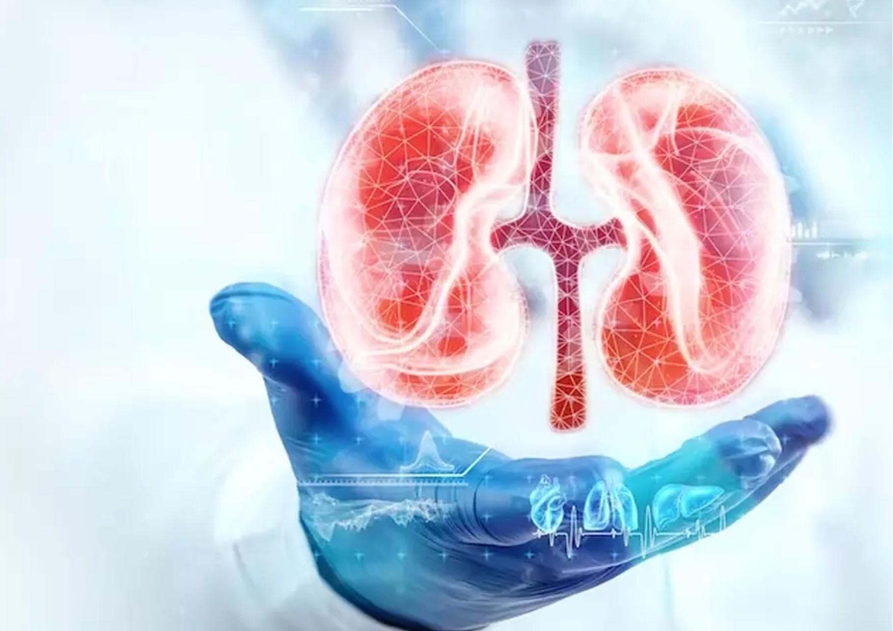 RECORD NELLE DONAZIONI DI ORGANI E NEI TRAPIANTI: MAI COSÌ TANTI IN ITALIA