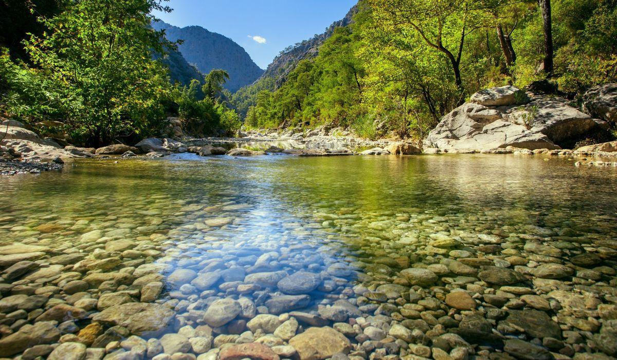 L'EUROPA RIMUOVE LE BARRIERE NEI FIUMI: TORNANO I PESCI E LE CONCHIGLIE