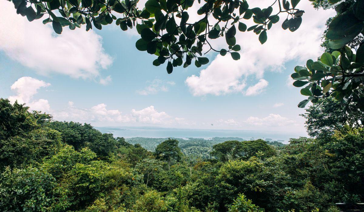 IL SURINAME DICHIARA IL 90% DELLE SUE FORESTE PROTETTE: QUANTO METÀ DELL’ITALIA