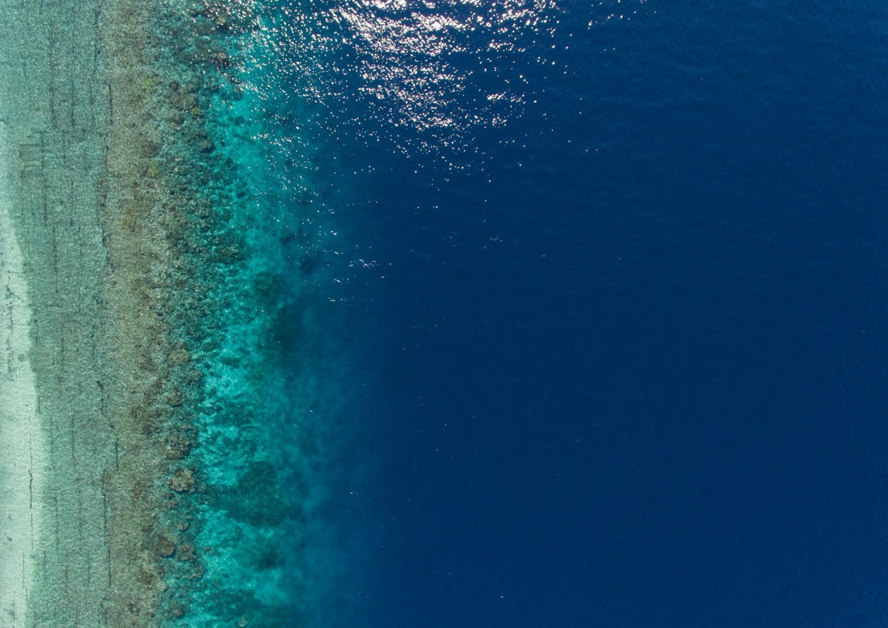 L'ITALIA RAGGIUNGE IL 31% DI MARE TUTELATO: ISTITUITE OTTO NUOVE ZONE PROTETTE